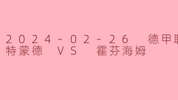 2024-02-26 德甲联赛 多特蒙德 VS 霍芬海姆